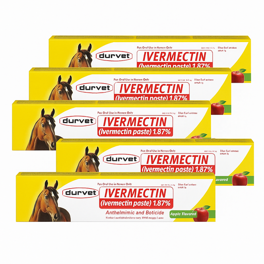 Durvet Ivermectin Paste Dewormer for Horses – 1.87% Apple Flavor, 6.08g Oral Dose (Pack of 6)